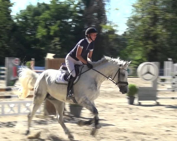 Reitturnier Remscheid 2019
