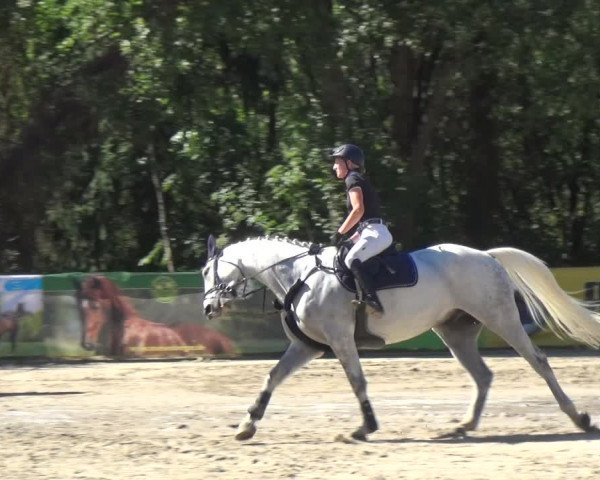 Reitturnier Remscheid 2019