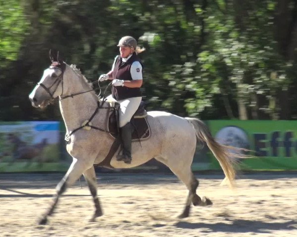Reitturnier Remscheid 2019