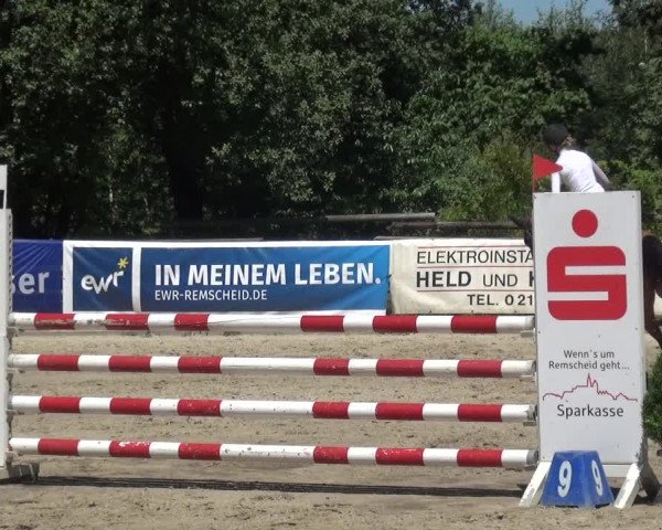Reitturnier Remscheid 2019