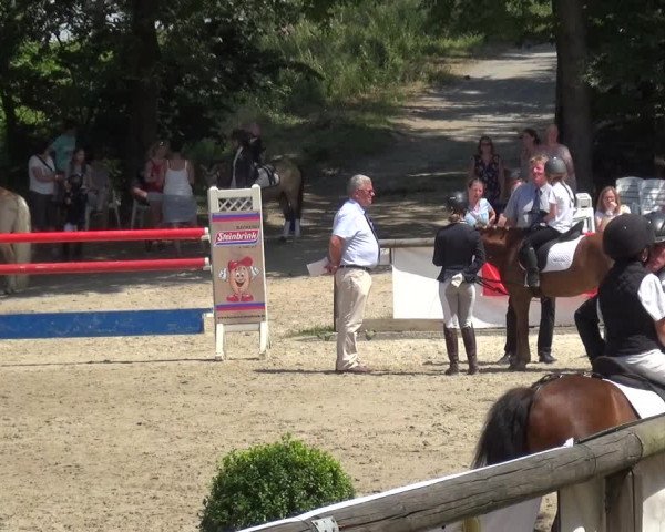 Reitturnier Remscheid 2019