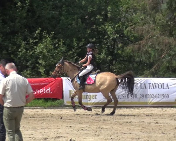 Reitturnier Remscheid 2019