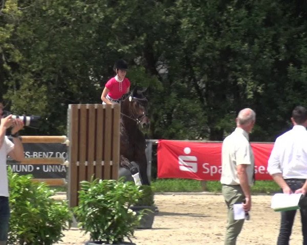 Reitturnier Remscheid 2019