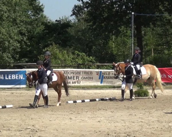 Reitturnier Remscheid 2019