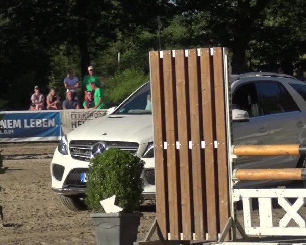 Reitturnier Remscheid 2019