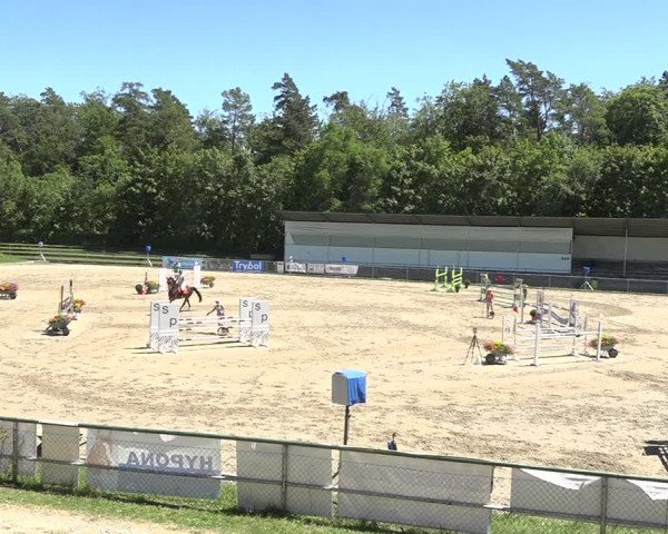 Reitturnier Schaffhausen 2019