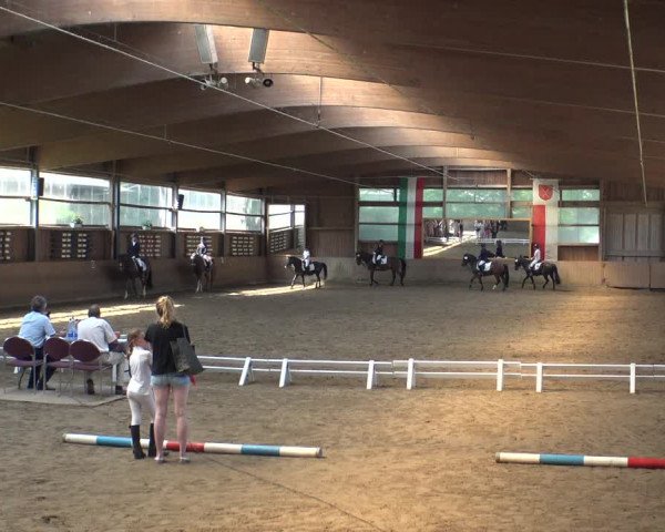 Reitturnier Schwerte-Gut Kückshausen 2019