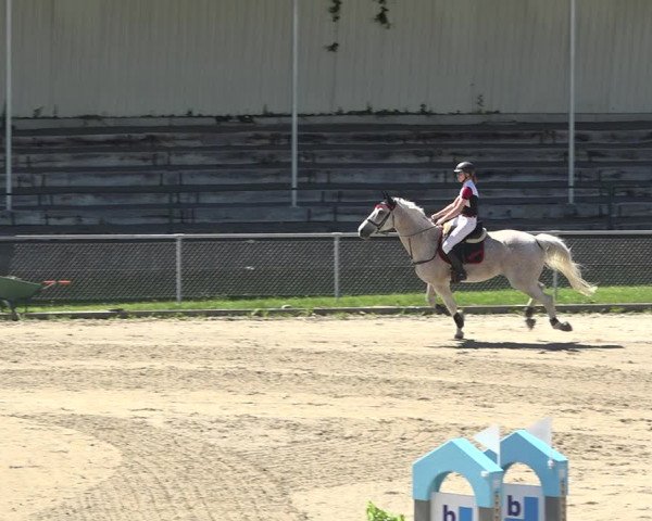 Reitturnier Schaffhausen 2019