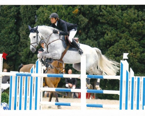 jumper Brooklyn Z (Zangersheide riding horse, 2002, from Baloubet du Rouet)