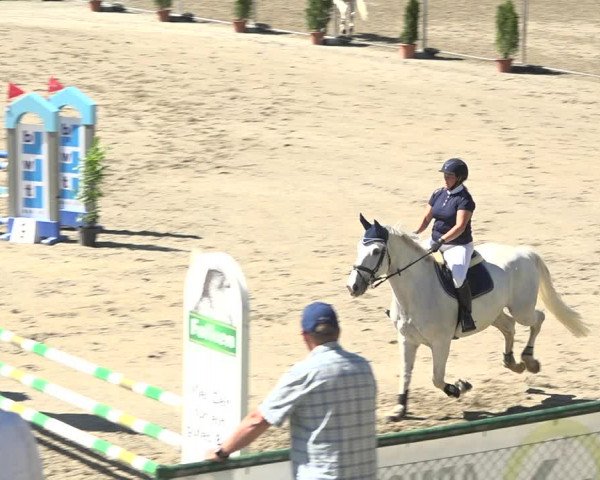 Reitturnier Schaffhausen 2019