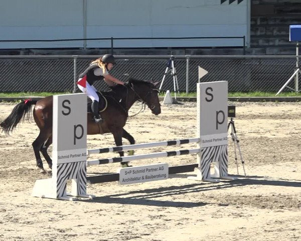 Reitturnier Schaffhausen 2019