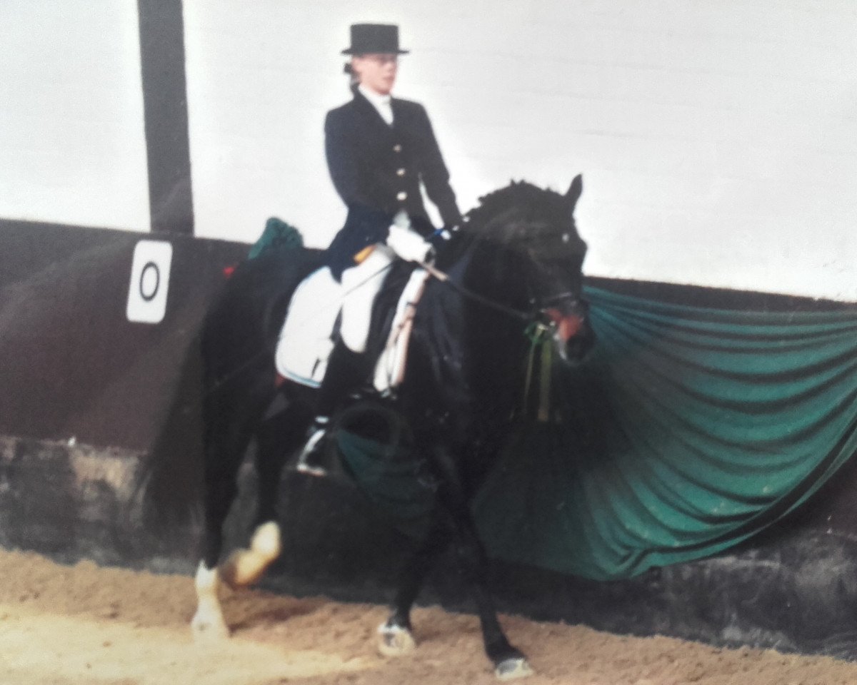 Deckhengst Vis-A-Vis II (Deutsches Reitpony, 1989, von Vulkan)
