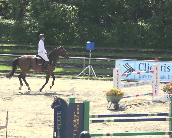 Reitturnier Schaffhausen 2019