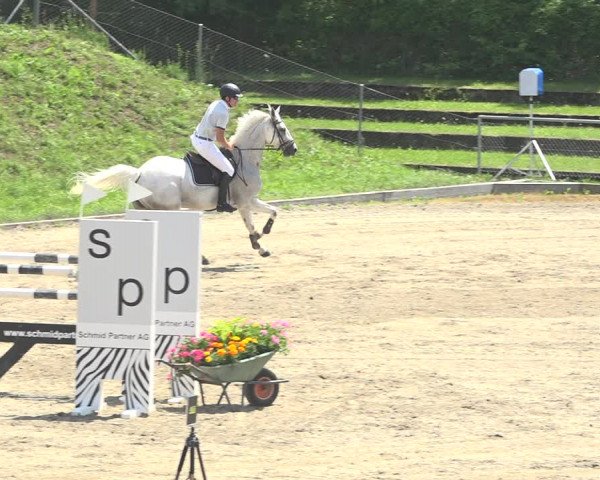 Reitturnier Schaffhausen 2019
