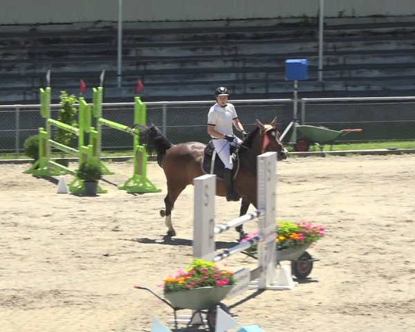 Reitturnier Schaffhausen 2019