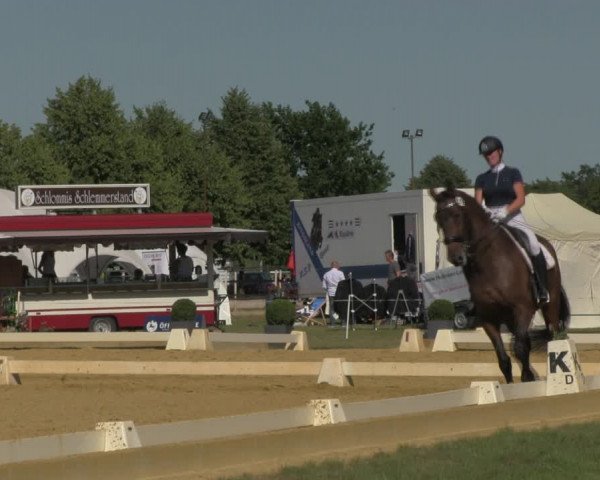 Reitturnier Vorsfelde 2019