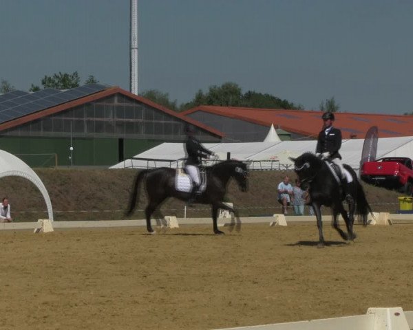 Reitturnier Vorsfelde 2019