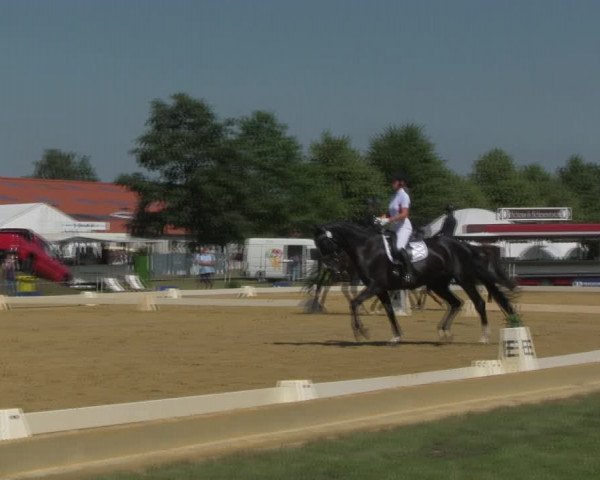 Reitturnier Vorsfelde 2019