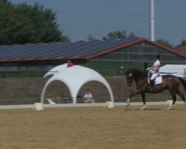 Reitturnier Vorsfelde 2019