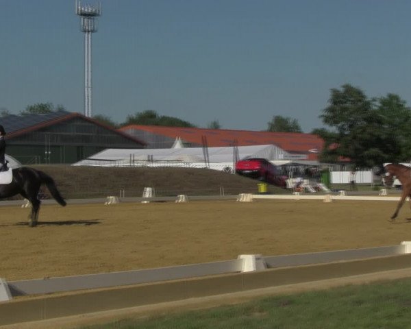 Reitturnier Vorsfelde 2019