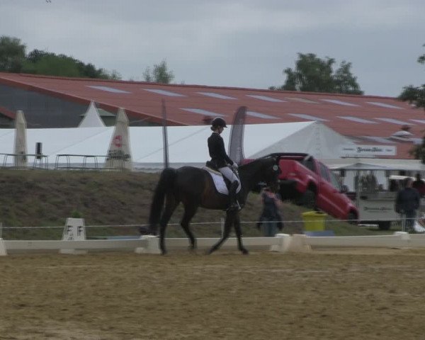 Reitturnier Vorsfelde 2019
