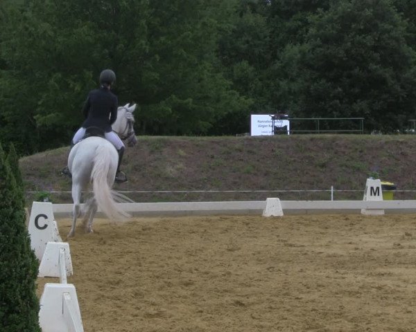 Reitturnier Vorsfelde 2019