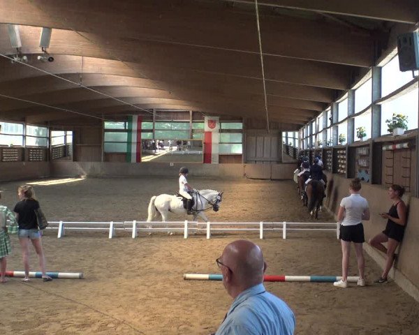 Reitturnier Schwerte-Gut Kückshausen 2019