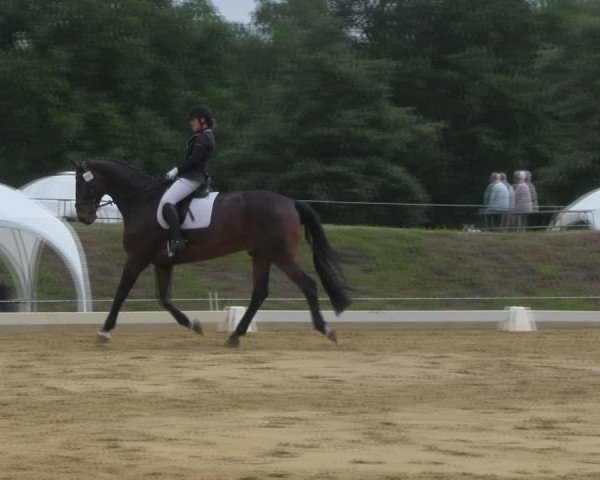 Reitturnier Vorsfelde 2019