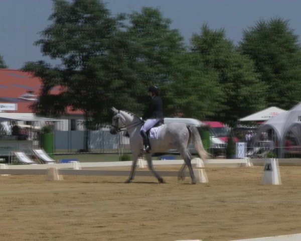 Reitturnier Vorsfelde 2019