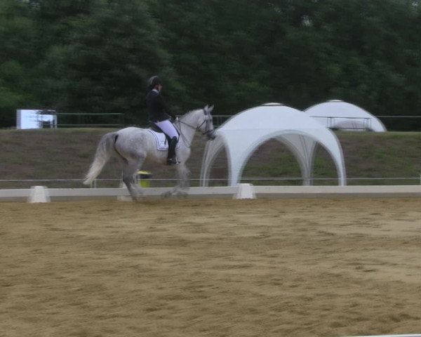 Reitturnier Vorsfelde 2019