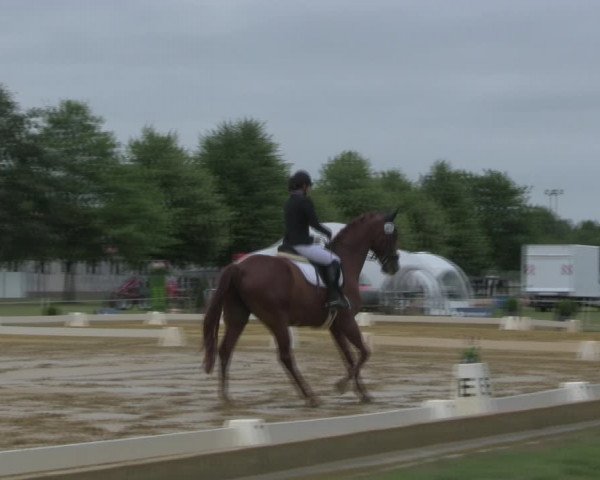 Reitturnier Vorsfelde 2019