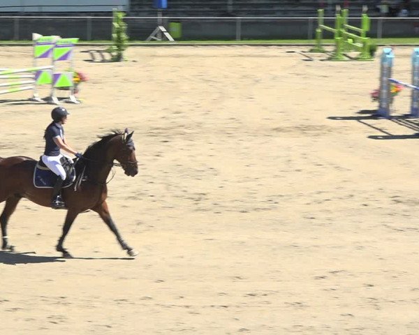 Reitturnier Schaffhausen 2019