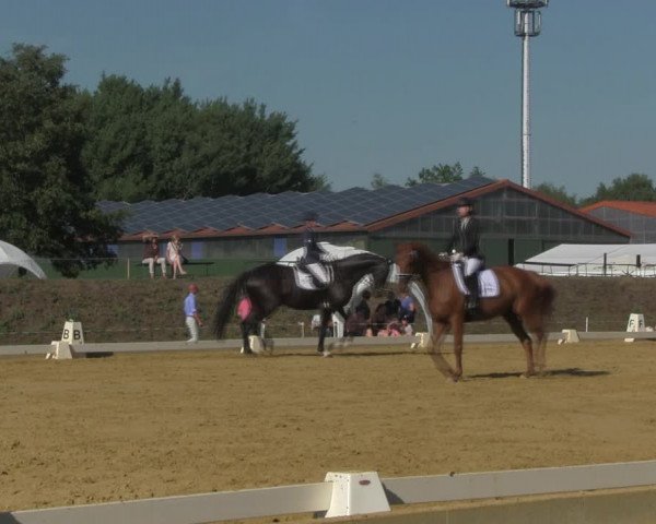 Reitturnier Vorsfelde 2019