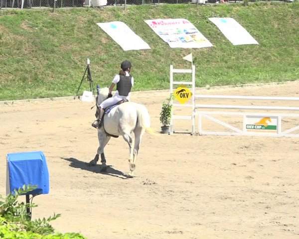 Reitturnier Schaffhausen 2019