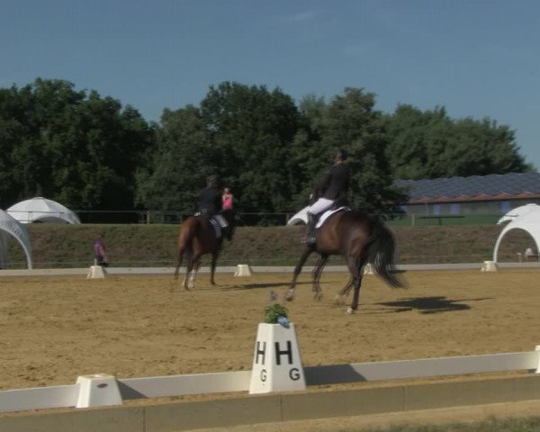 Reitturnier Vorsfelde 2019