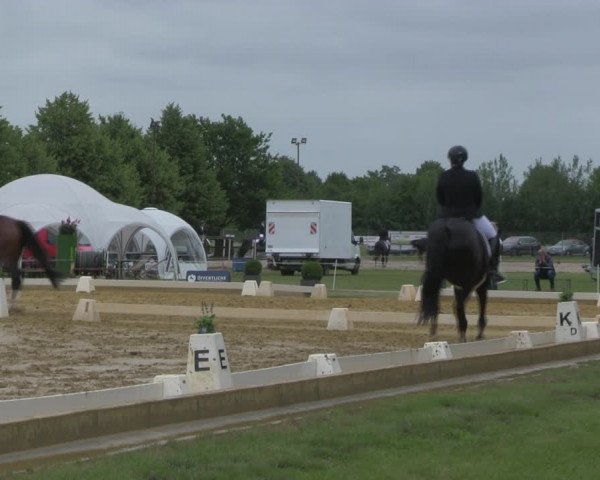Reitturnier Vorsfelde 2019