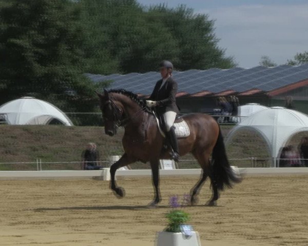 Reitturnier Vorsfelde 2019