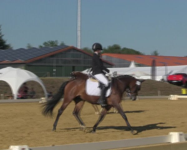Reitturnier Vorsfelde 2019