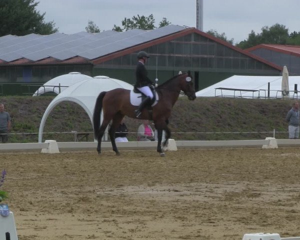 Reitturnier Vorsfelde 2019