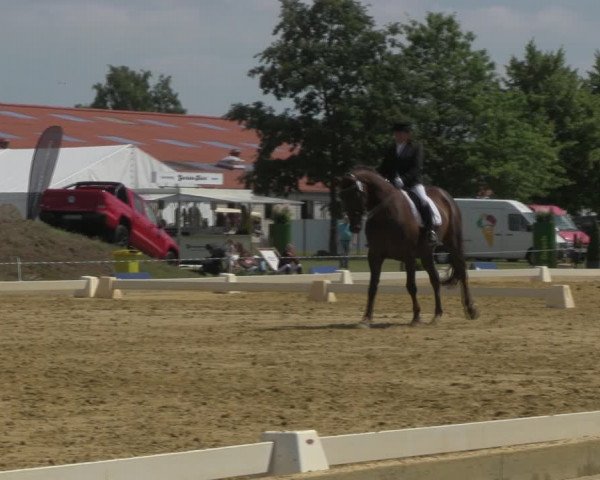 Reitturnier Vorsfelde 2019