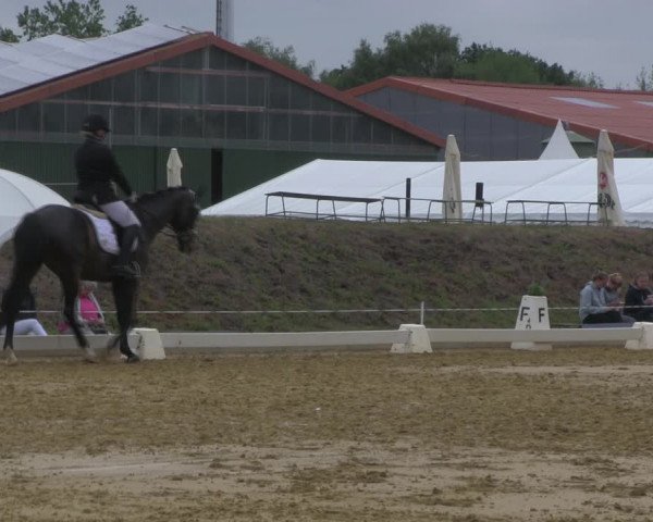 Reitturnier Vorsfelde 2019