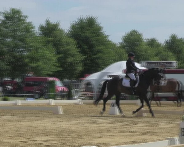 Reitturnier Vorsfelde 2019