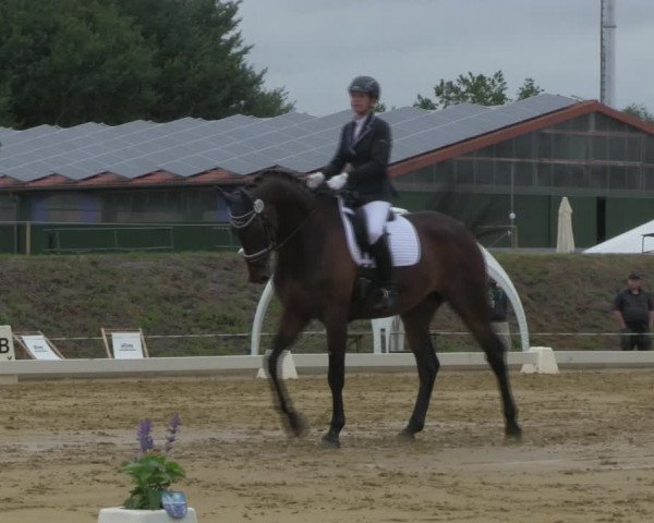 Reitturnier Vorsfelde 2019