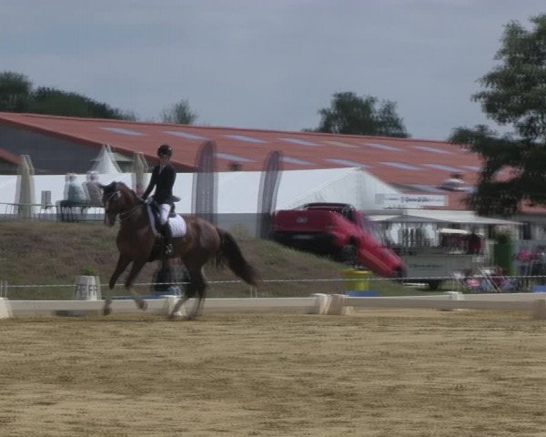 Reitturnier Vorsfelde 2019