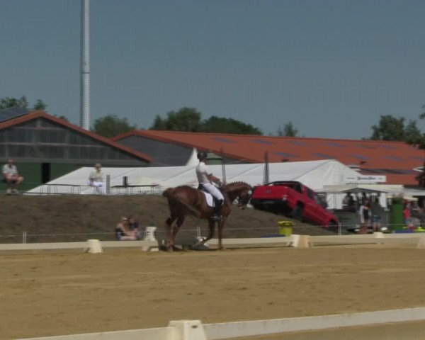 Reitturnier Vorsfelde 2019
