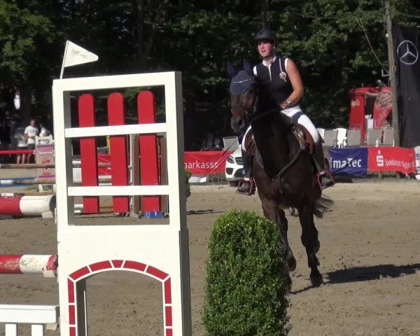 Reitturnier Remscheid 2019