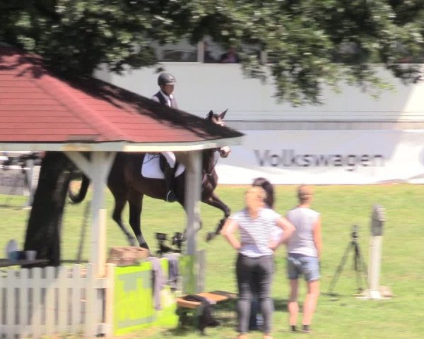 Reitturnier Vorsfelde 2019