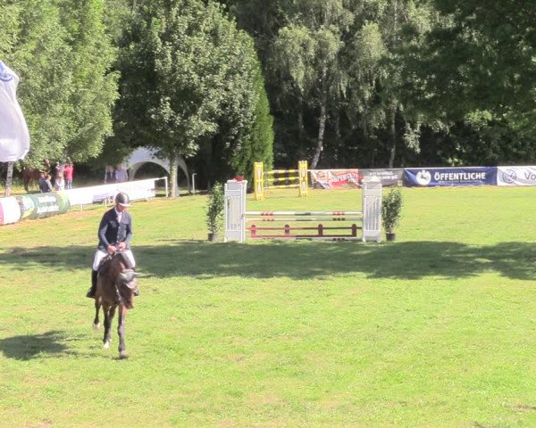 Reitturnier Vorsfelde 2019