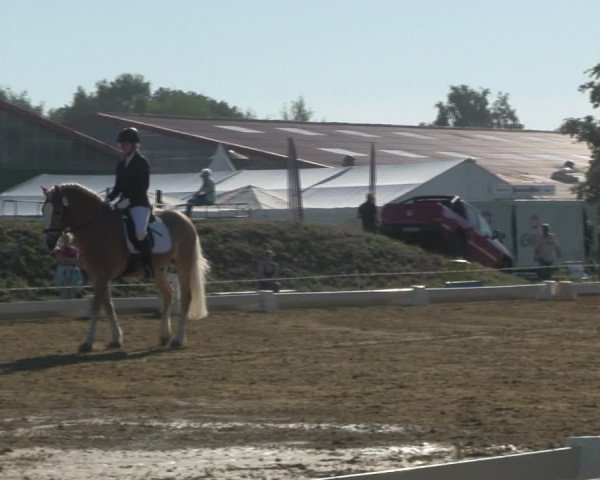Reitturnier Vorsfelde 2019