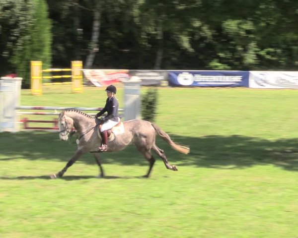 Reitturnier Vorsfelde 2019